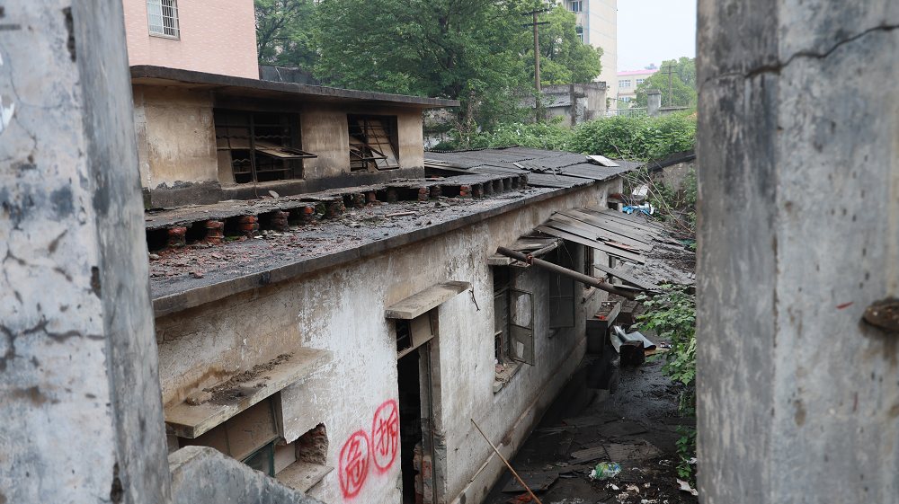 圖片3.png 圖片3.png