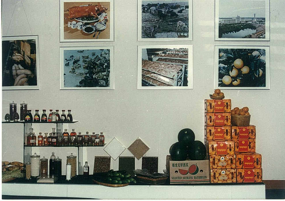 圖片3.png 圖片3.png