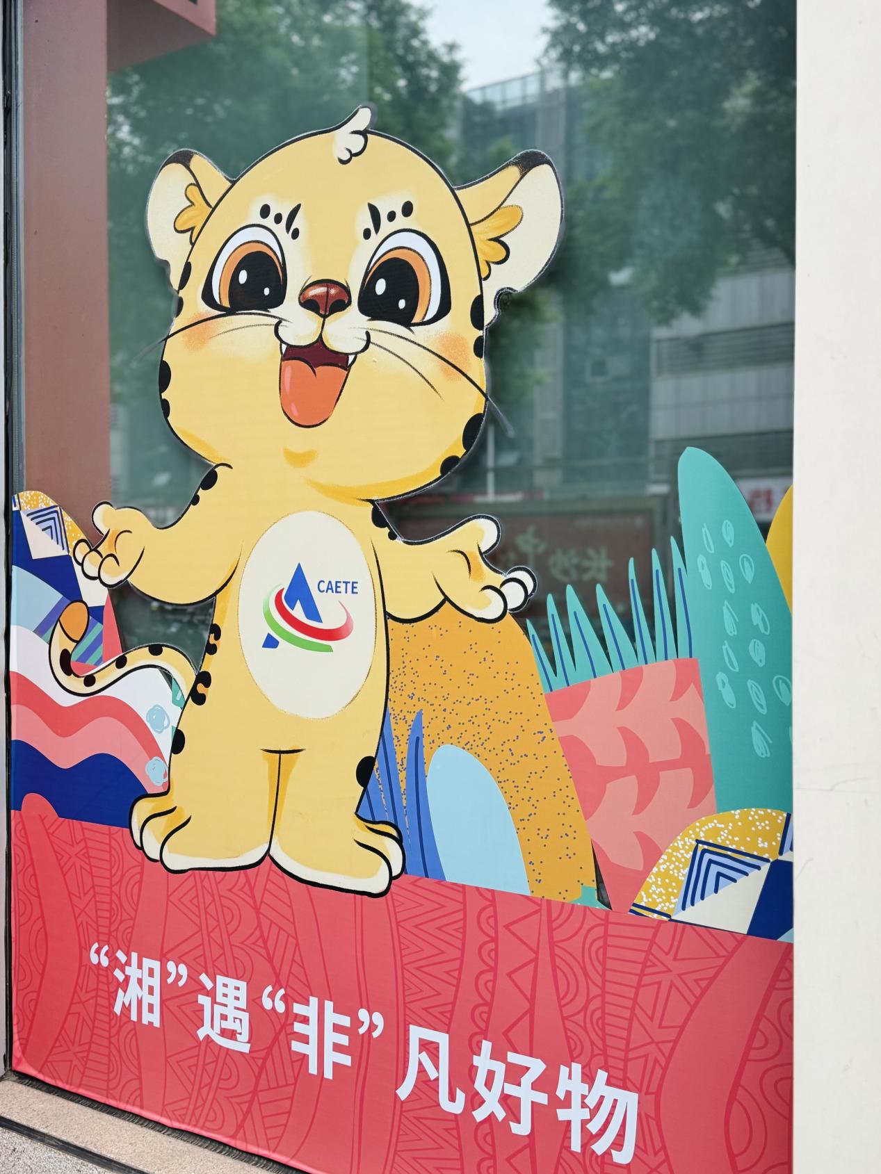 圖片7.jpg 圖片7.jpg